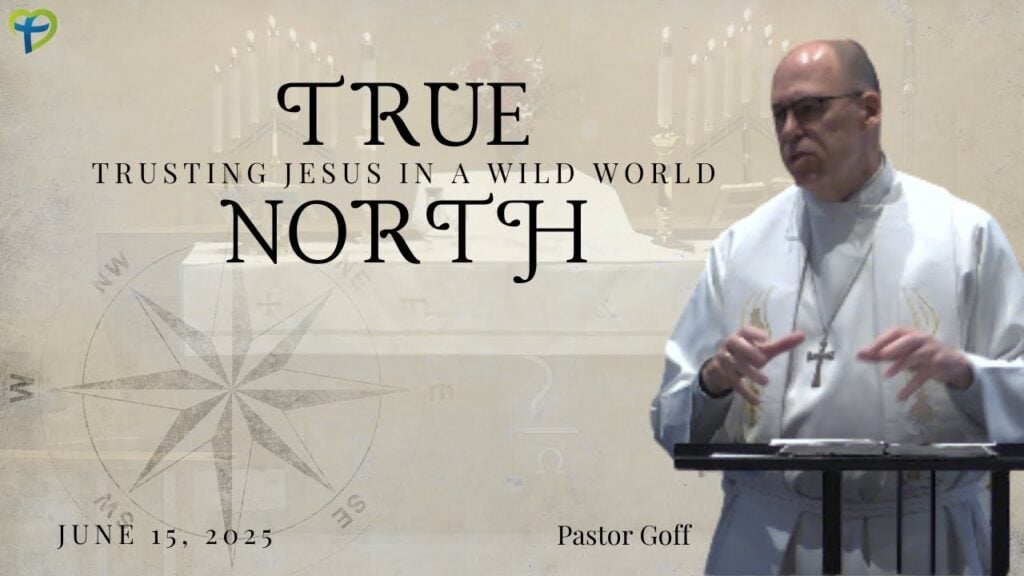 Our True North
